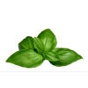 Barilla Pesto Genovese 190g – Klasyczne Zielone Pesto z Bazylii